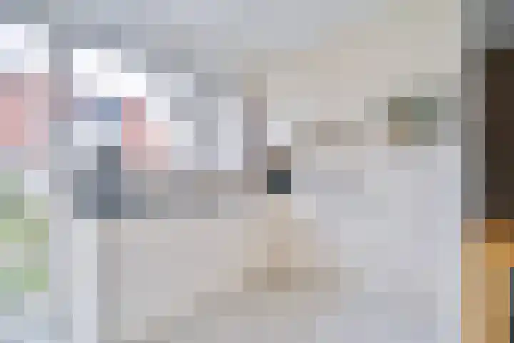 Boterbloemweide 18 Swifterbant thumbnail 12