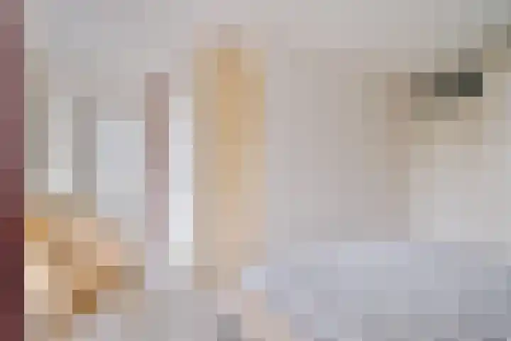 Boterbloemweide 18 Swifterbant thumbnail 15