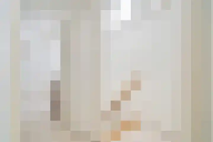 Boterbloemweide 18 Swifterbant thumbnail 21
