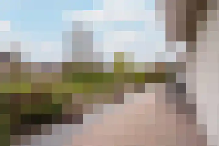 Boterbloemweide 18 Swifterbant thumbnail 28