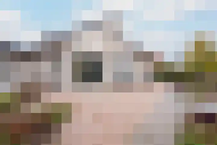 Boterbloemweide 18 Swifterbant thumbnail 29