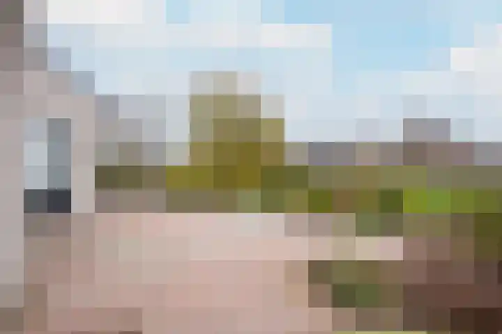 Boterbloemweide 18 Swifterbant thumbnail 30