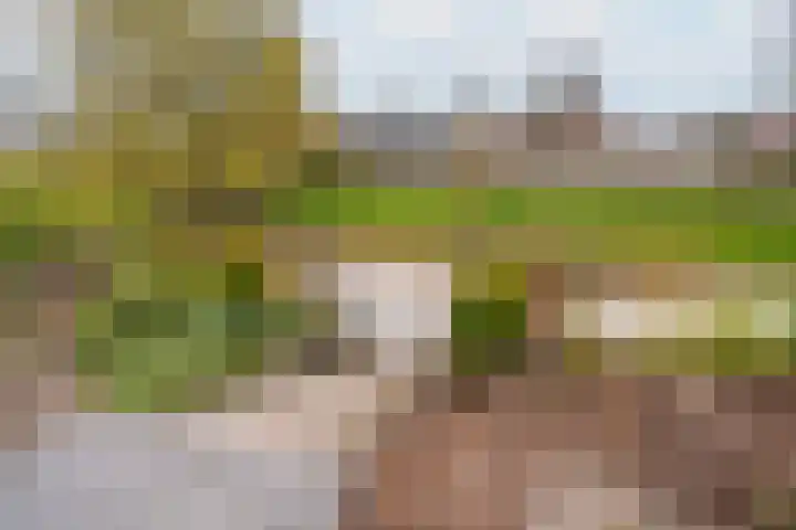 Boterbloemweide 18 Swifterbant thumbnail 32