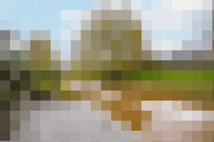 Boterbloemweide 18 Swifterbant thumbnail 33