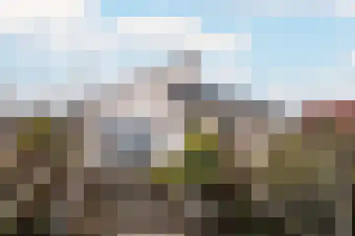 Boterbloemweide 18 Swifterbant thumbnail 34