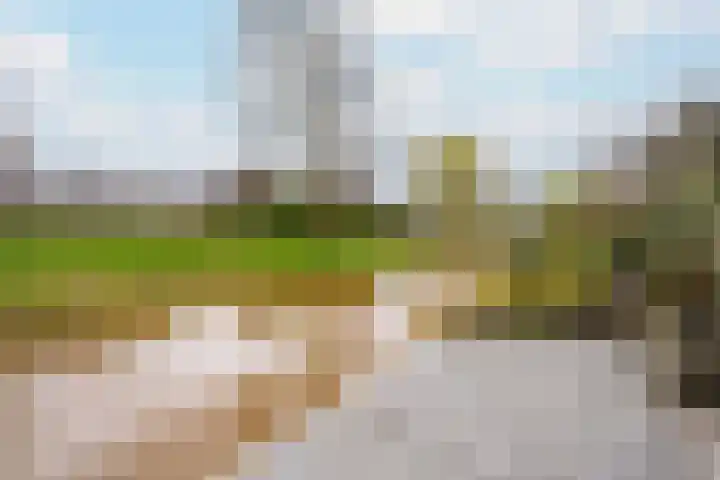 Boterbloemweide 18 Swifterbant thumbnail 35
