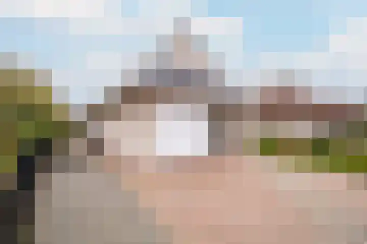 Boterbloemweide 18 Swifterbant thumbnail 6