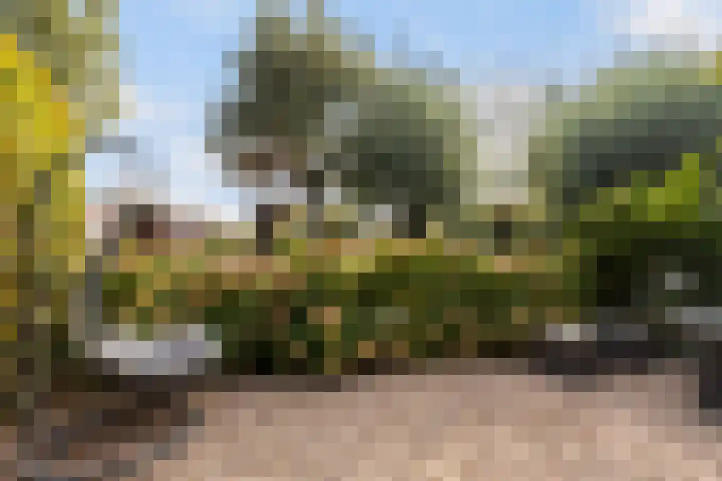 Boterbloemweide 33 Woerden thumbnail 30