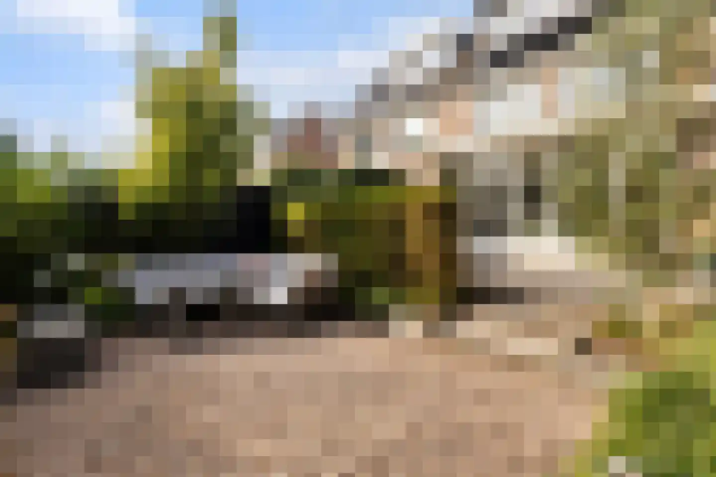 Boterbloemweide 33 Woerden thumbnail 32