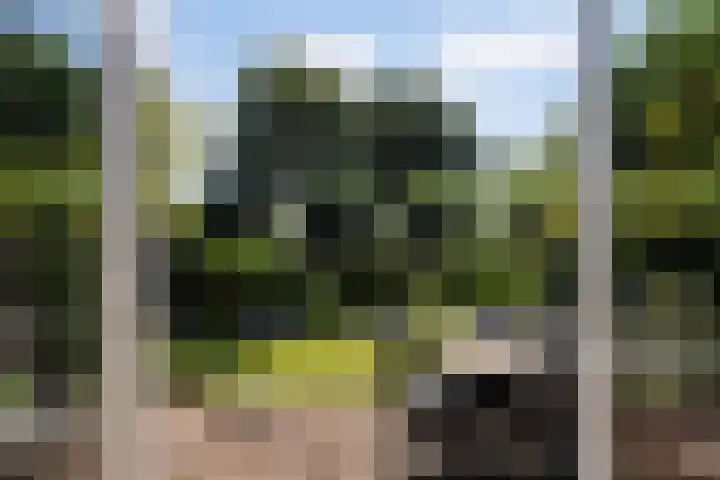 Boterbloemweide 35 Woerden thumbnail 26