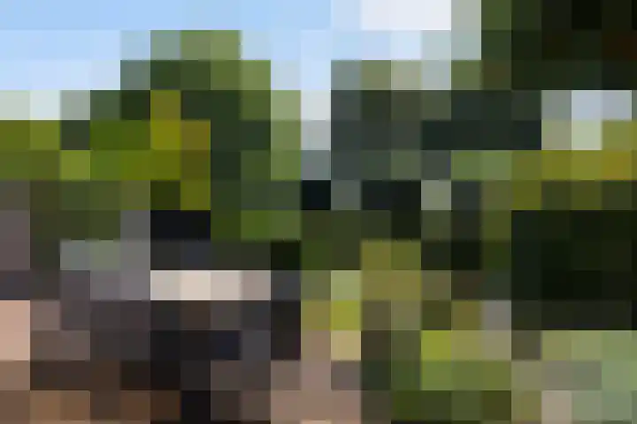 Boterbloemweide 35 Woerden thumbnail 27