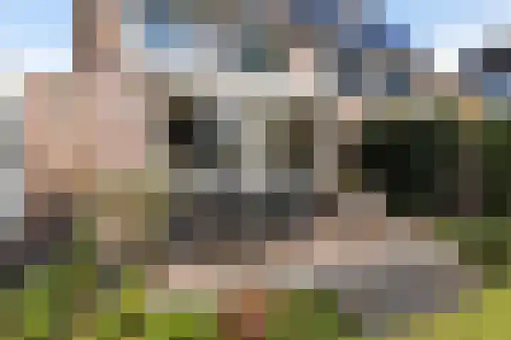 Boterbloemweide 35 Woerden thumbnail 30