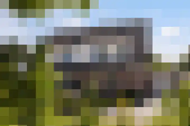 Boterbloemweide 35 Woerden thumbnail 5