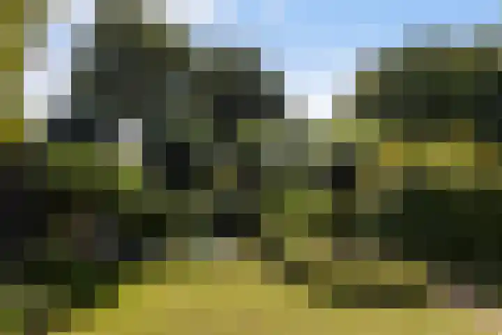 Boterbloemweide 35 Woerden thumbnail 52