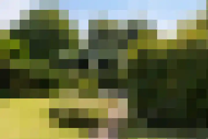 Boterbloemweide 35 Woerden thumbnail 53