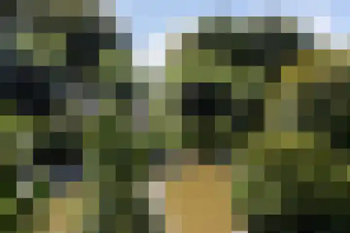 Boterbloemweide 35 Woerden thumbnail 54