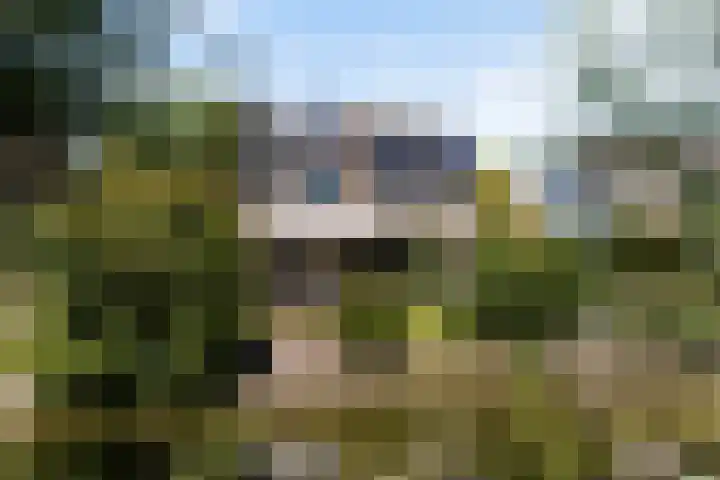 Boterbloemweide 35 Woerden thumbnail 56