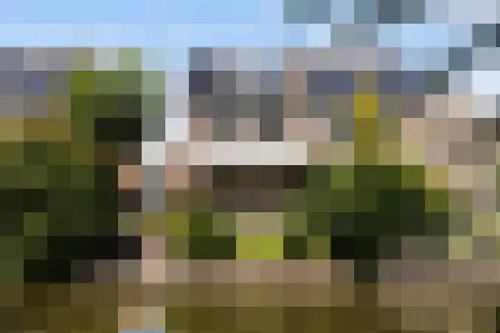 Boterbloemweide 35 Woerden thumbnail 57