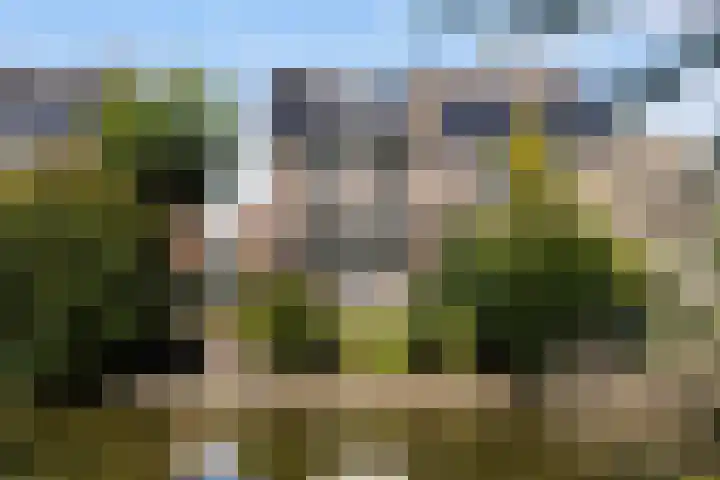 Boterbloemweide 35 Woerden thumbnail 58