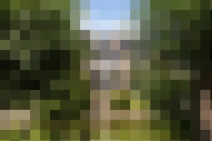 Boterbloemweide 35 Woerden thumbnail 60