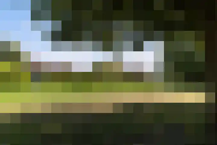 Boterbloemweide 35 Woerden thumbnail 61