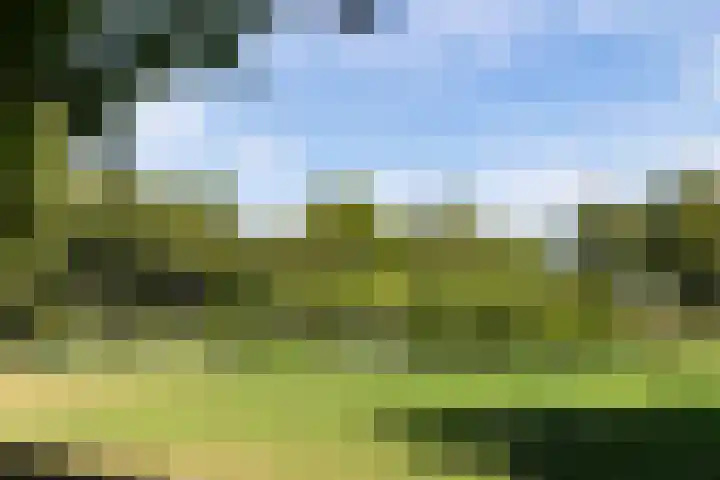 Boterbloemweide 35 Woerden thumbnail 62