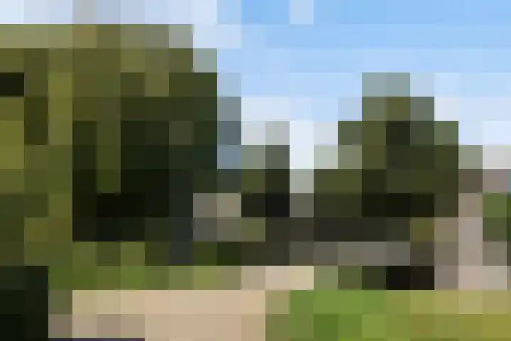 Boterbloemweide 35 Woerden thumbnail 63