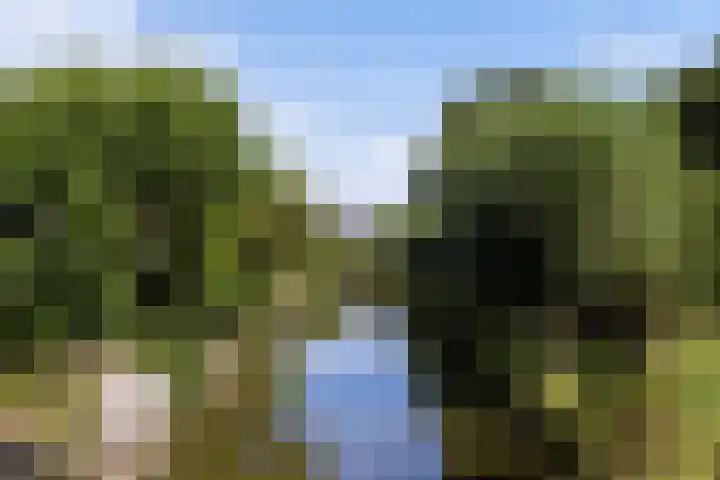 Boterbloemweide 35 Woerden thumbnail 64