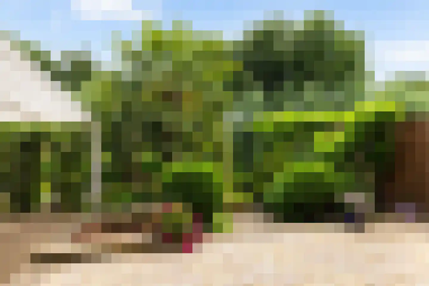Boterbloemweide 37 Woerden thumbnail 42