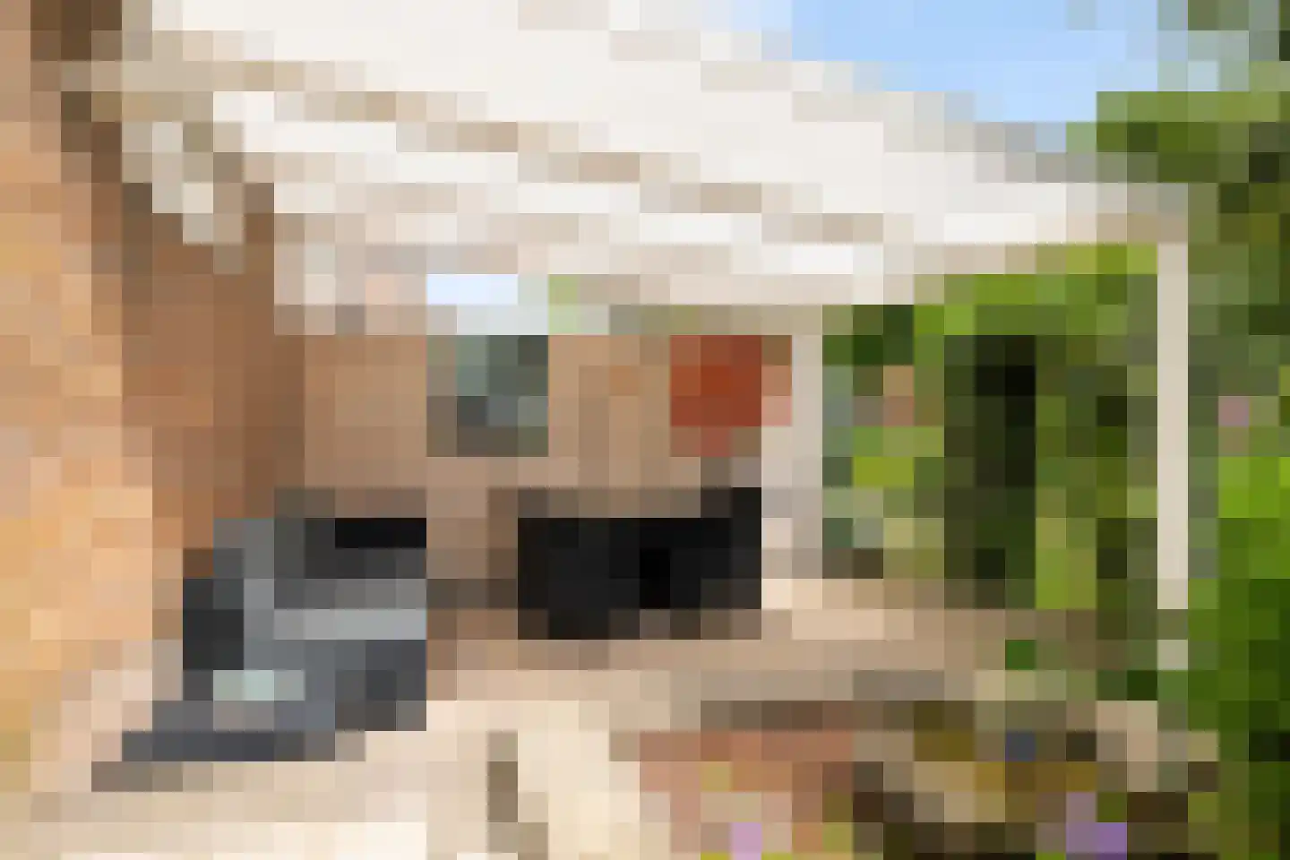 Boterbloemweide 37 Woerden thumbnail 45