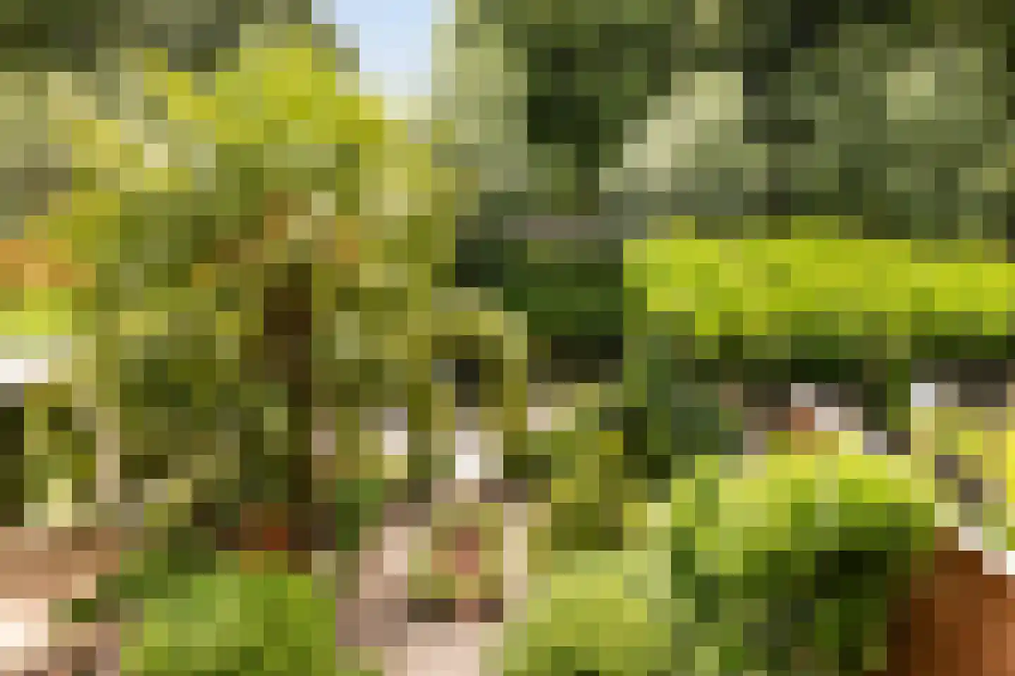 Boterbloemweide 37 Woerden thumbnail 46