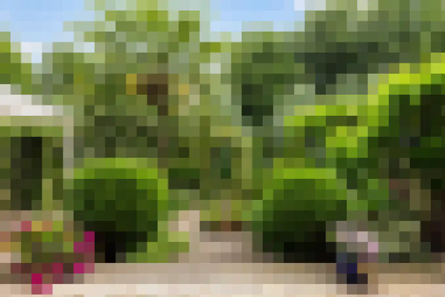 Boterbloemweide 37 Woerden thumbnail 47