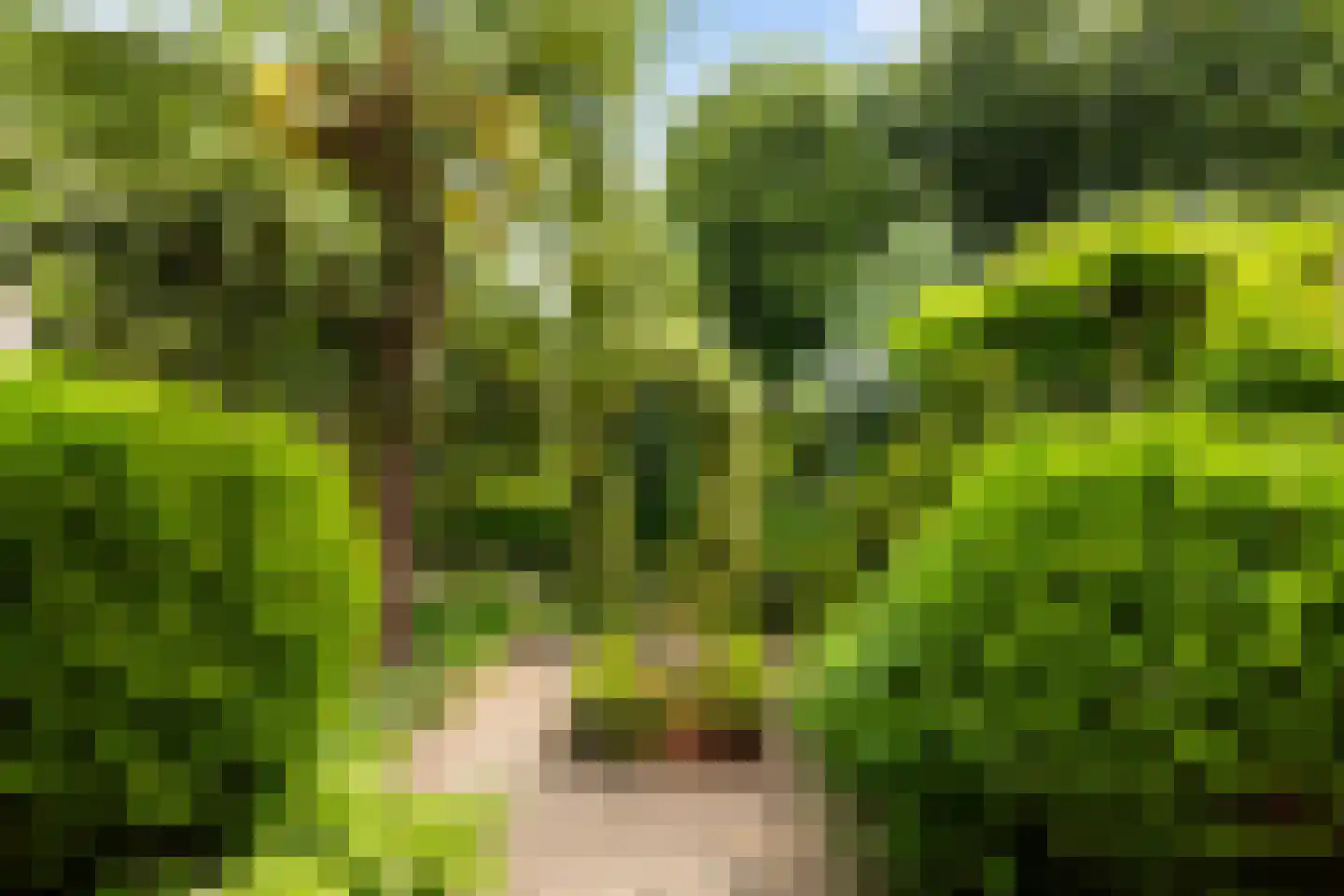 Boterbloemweide 37 Woerden thumbnail 48