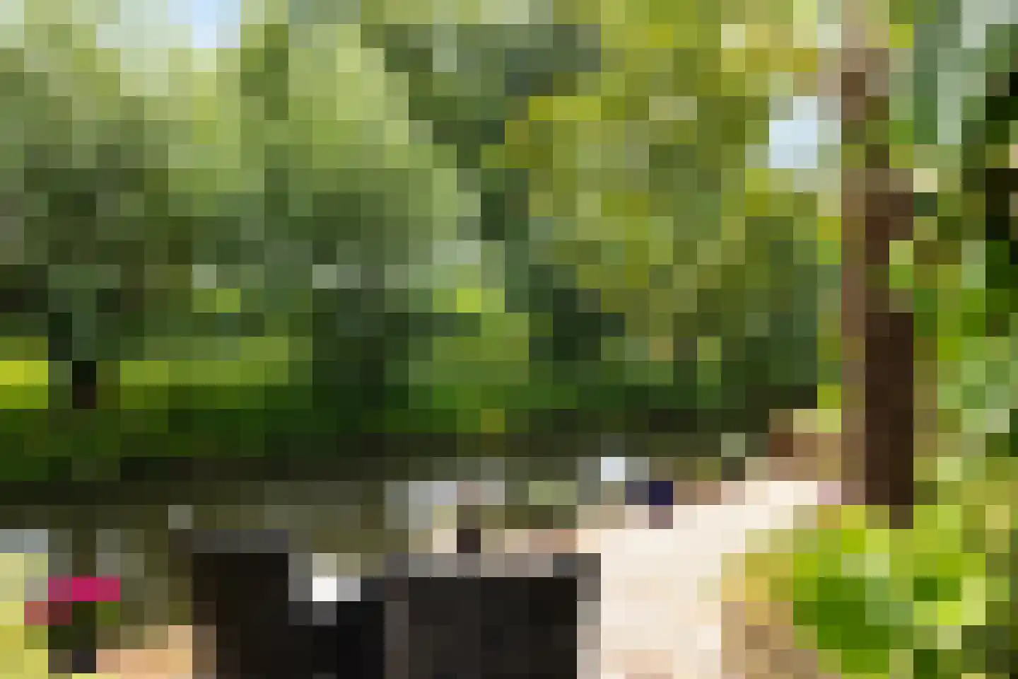 Boterbloemweide 37 Woerden thumbnail 52