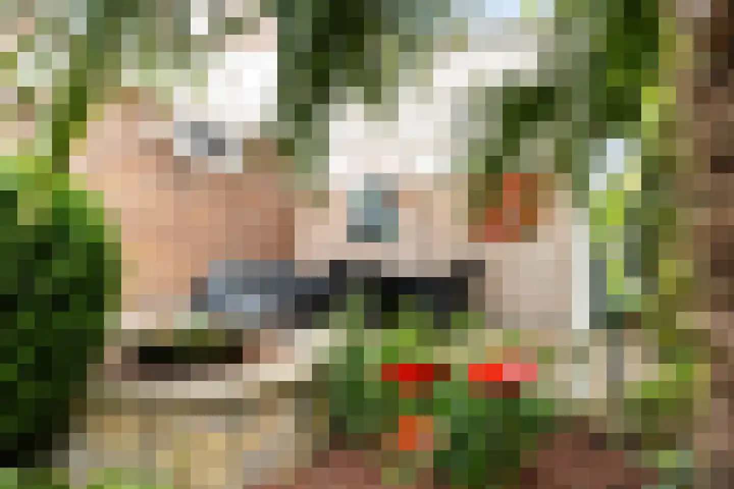 Boterbloemweide 37 Woerden thumbnail 56