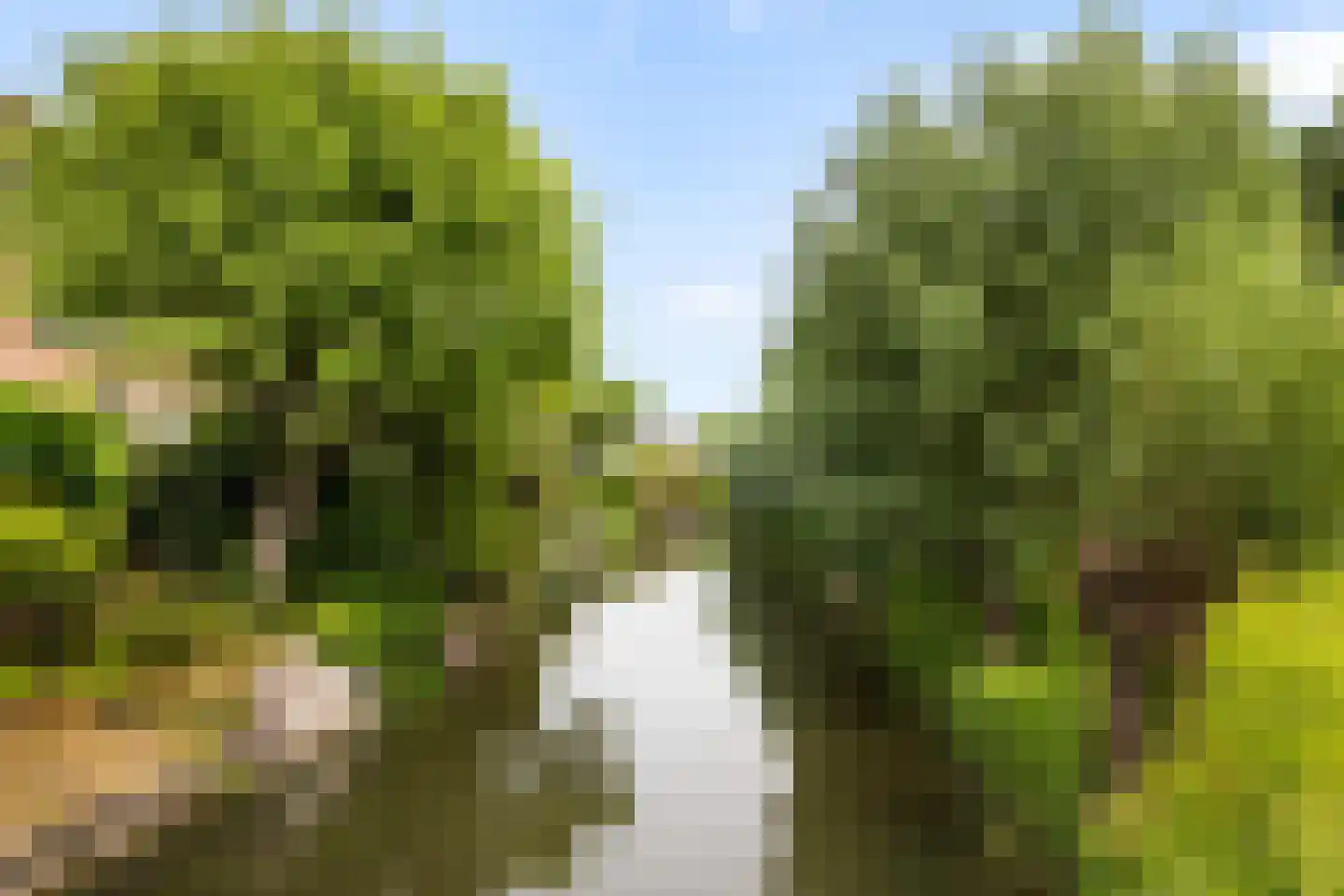 Boterbloemweide 37 Woerden thumbnail 57