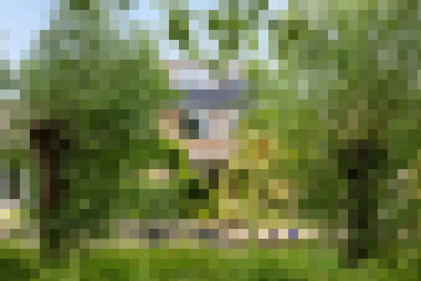 Boterbloemweide 37 Woerden thumbnail 58