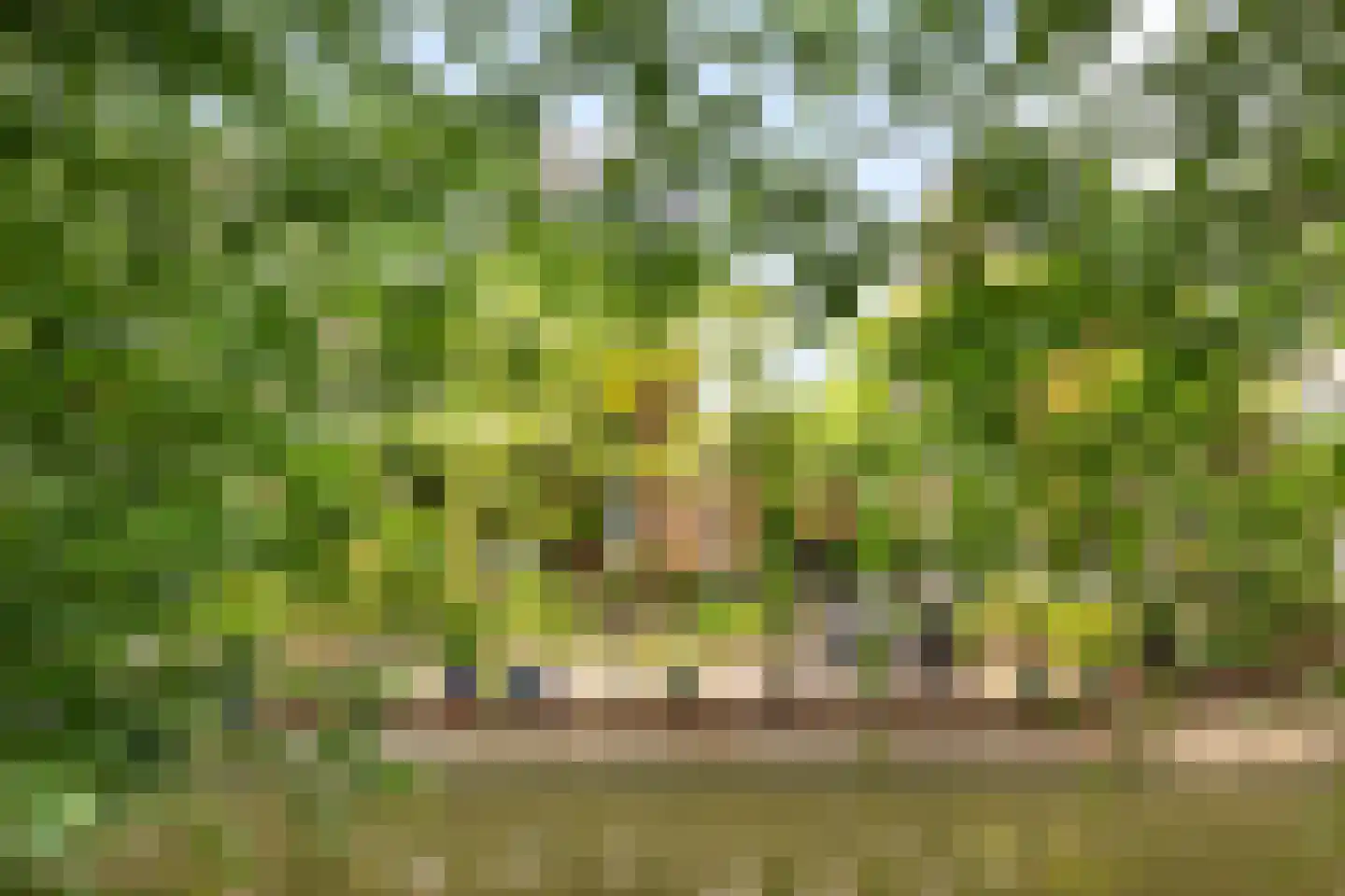 Boterbloemweide 37 Woerden thumbnail 60