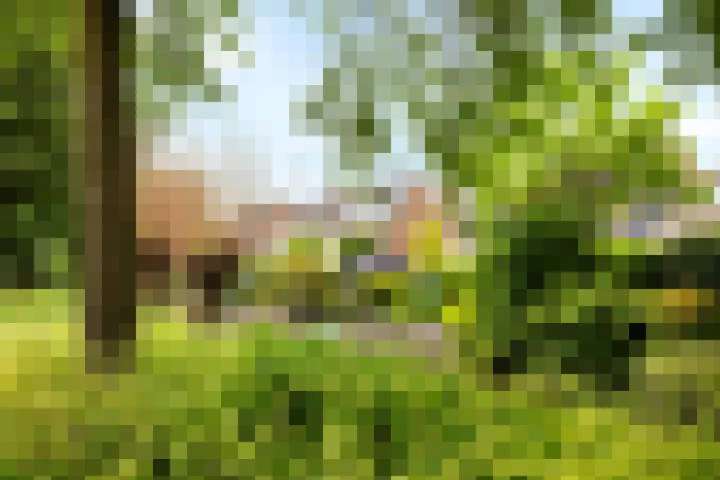 Boterbloemweide 37 Woerden thumbnail 61