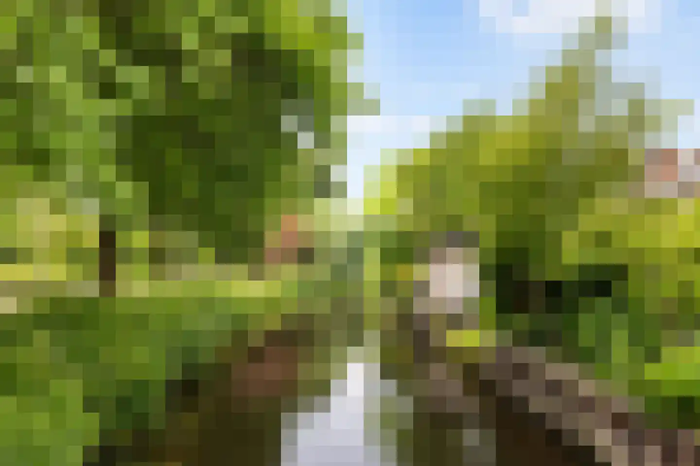 Boterbloemweide 37 Woerden thumbnail 62