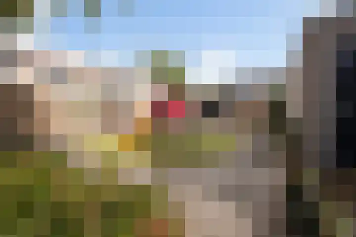 Boterbloemweide 54 Woerden thumbnail 30
