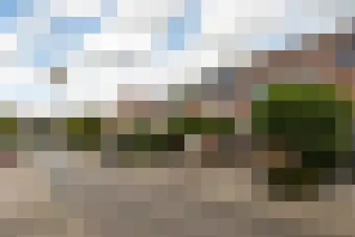 Boterbloemweide 54 Woerden thumbnail 32