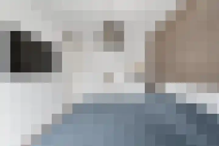 Boterbloemweide 70 Woerden thumbnail 20