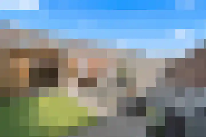 Boterbloemweide 70 Woerden thumbnail 39