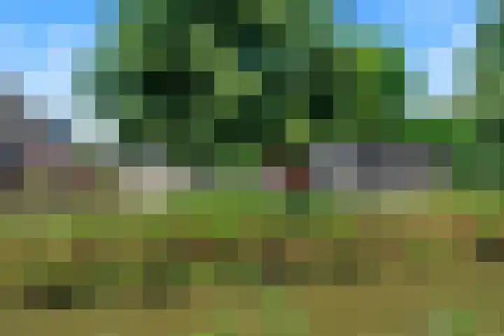 Boterbloemweide 70 Woerden thumbnail 42