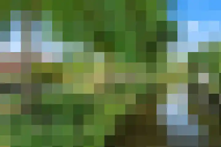 Boterbloemweide 70 Woerden thumbnail 43