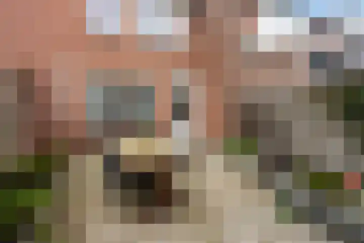 Boterbloemweide 86 Woerden thumbnail 13
