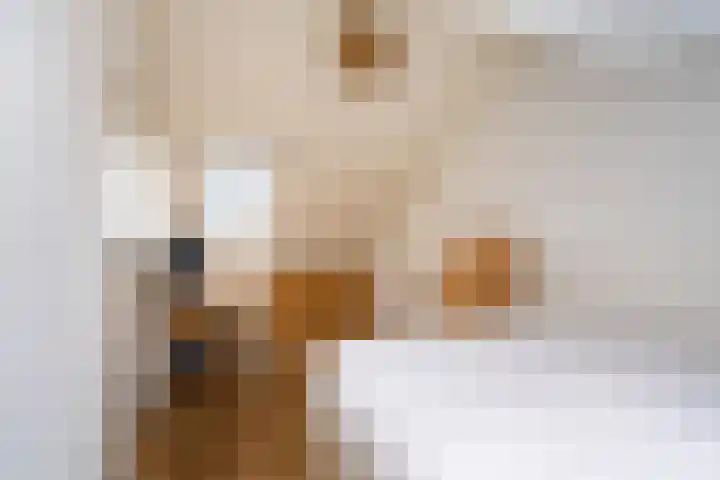 Boterbloemweide 86 Woerden thumbnail 32
