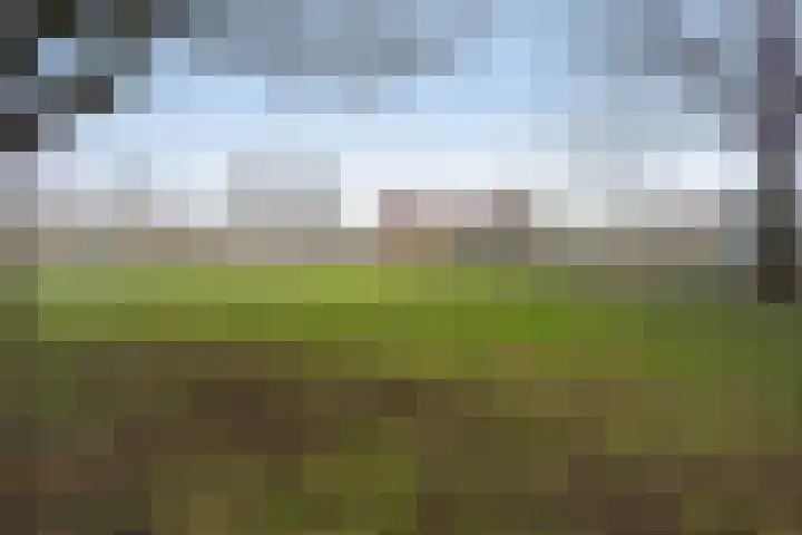 Boterbloemweide 86 Woerden thumbnail 40