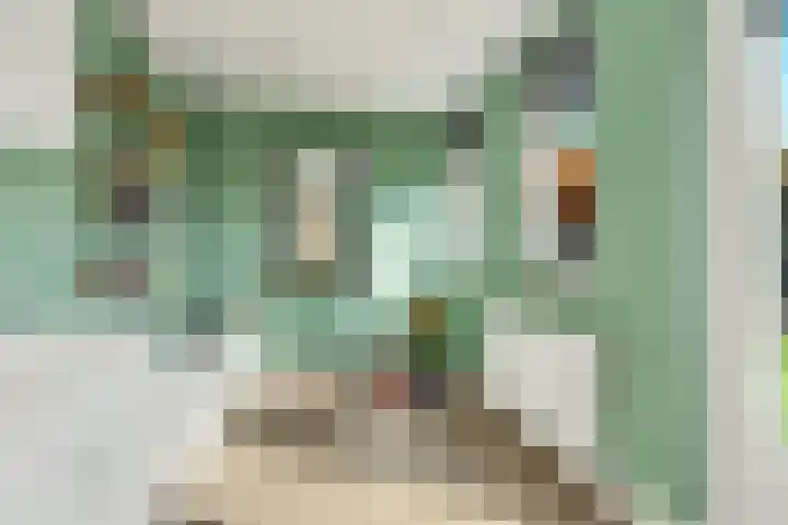 Boterbocht 45 Steensel thumbnail 20